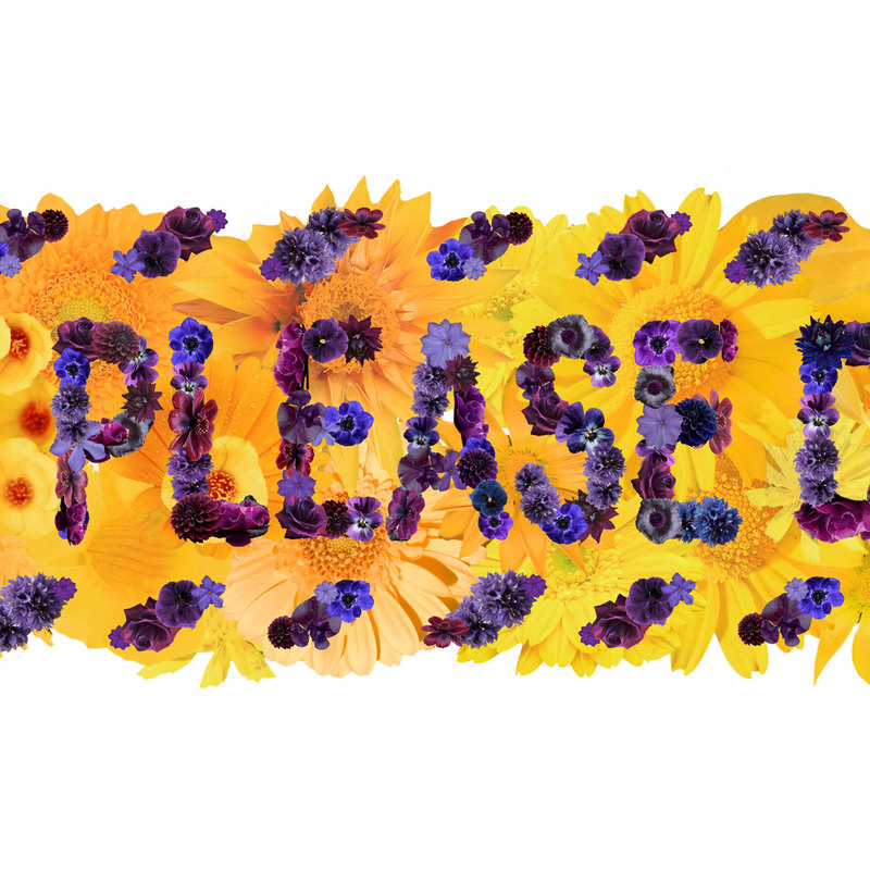 Close up of 'Please do not be cross' Bourdon Brindille's take on Police Tape made of flowers