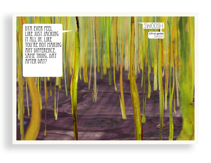 Print of Colourful Comic Postcard of Grasses Having Existential Angst by Bourdon Brindille