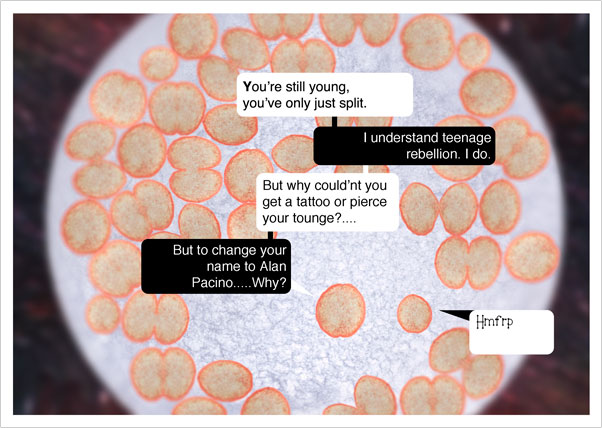 Print of Colourful Comic Postcard about Father and Son Cells in Petri Dish by Bourdon Brindille